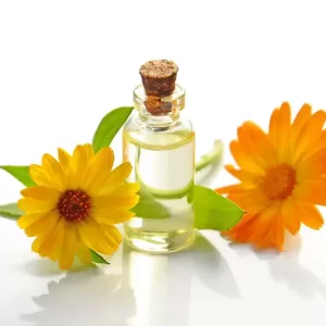 two-yellow-sunflowers-with-clear-glass-bottle-with-cork-lid-932587-jpg.webp two-yellow-sunflowers-with-clear-glass-bottle-with-cork-lid-932587-jpg.webp